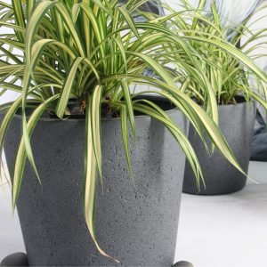 Rugen Cylindrical Round Poly Planter (Set Of 2) – Dark Grey - Lam Hiep Hung JSC