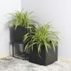 Rhine Square Poly Planter (Set Of 2) – Black - Lam Hiep Hung JSC