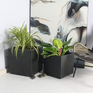 Rhine Square Poly Planter (Set Of 2) – Black - Lam Hiep Hung JSC
