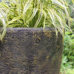 Egg Poly Planter (Set Of 2) – Green Grey - Lam Hiep Hung JSC